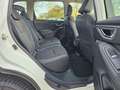 Subaru Forester 2.0i e-BOXER Luxury | Automaat | Trekhaak | Elek. Blanc - thumbnail 32