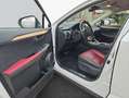 Lexus NX 300h h E-FOUR Luxury Line Weiß - thumbnail 19