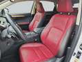 Lexus NX 300h h E-FOUR Luxury Line Weiß - thumbnail 10