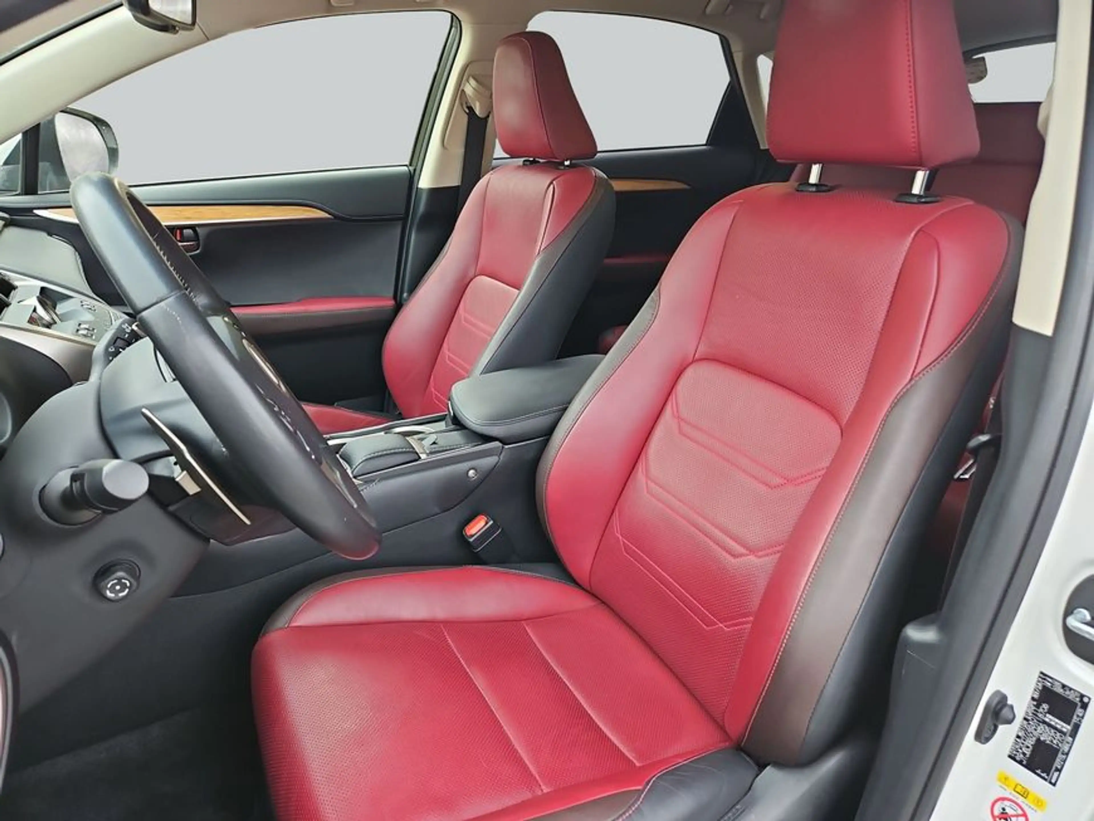 Lexus NX 300h h E-FOUR Luxury Line — photo 10