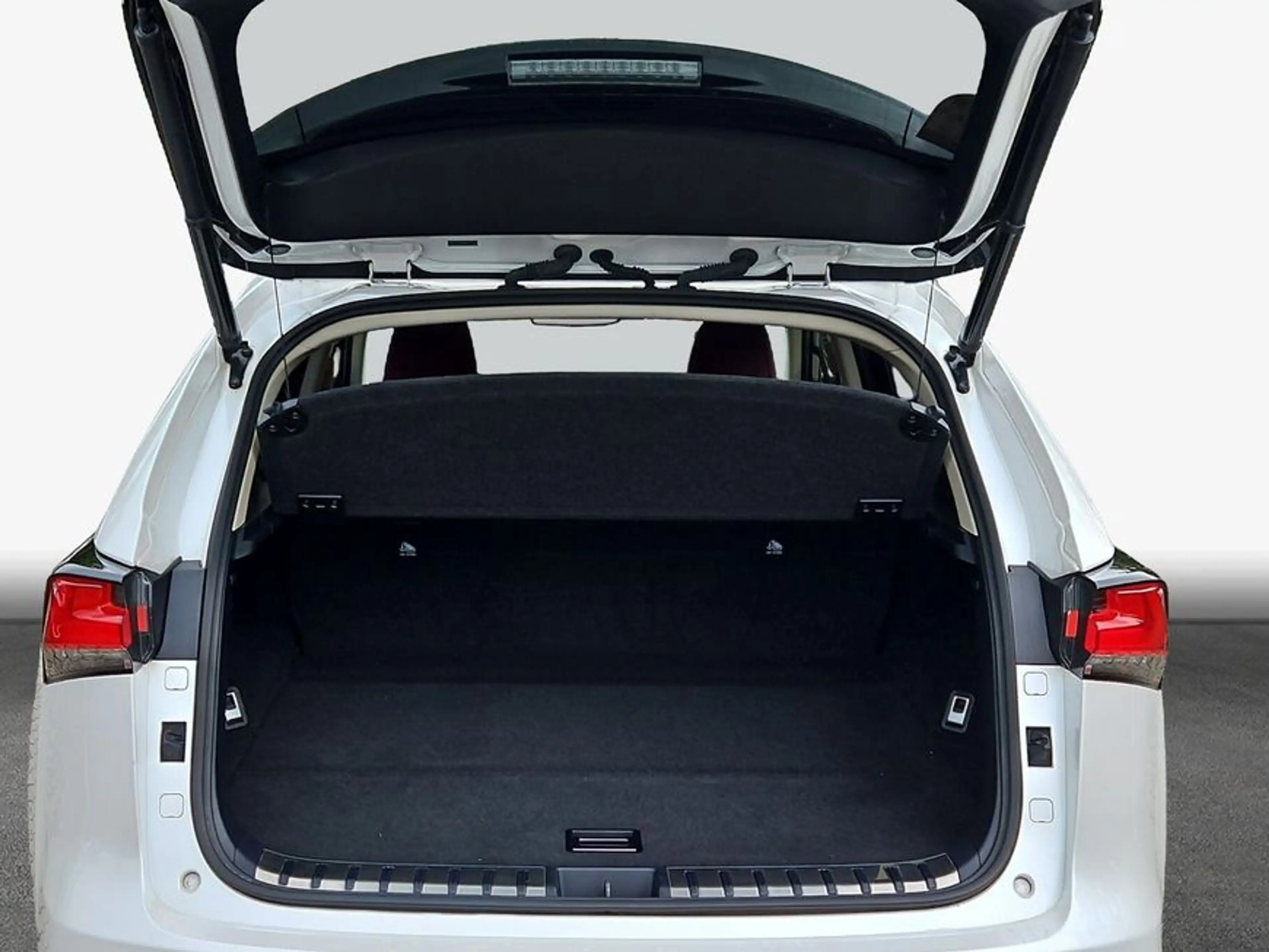 Lexus NX 300h h E-FOUR Luxury Line — photo 8