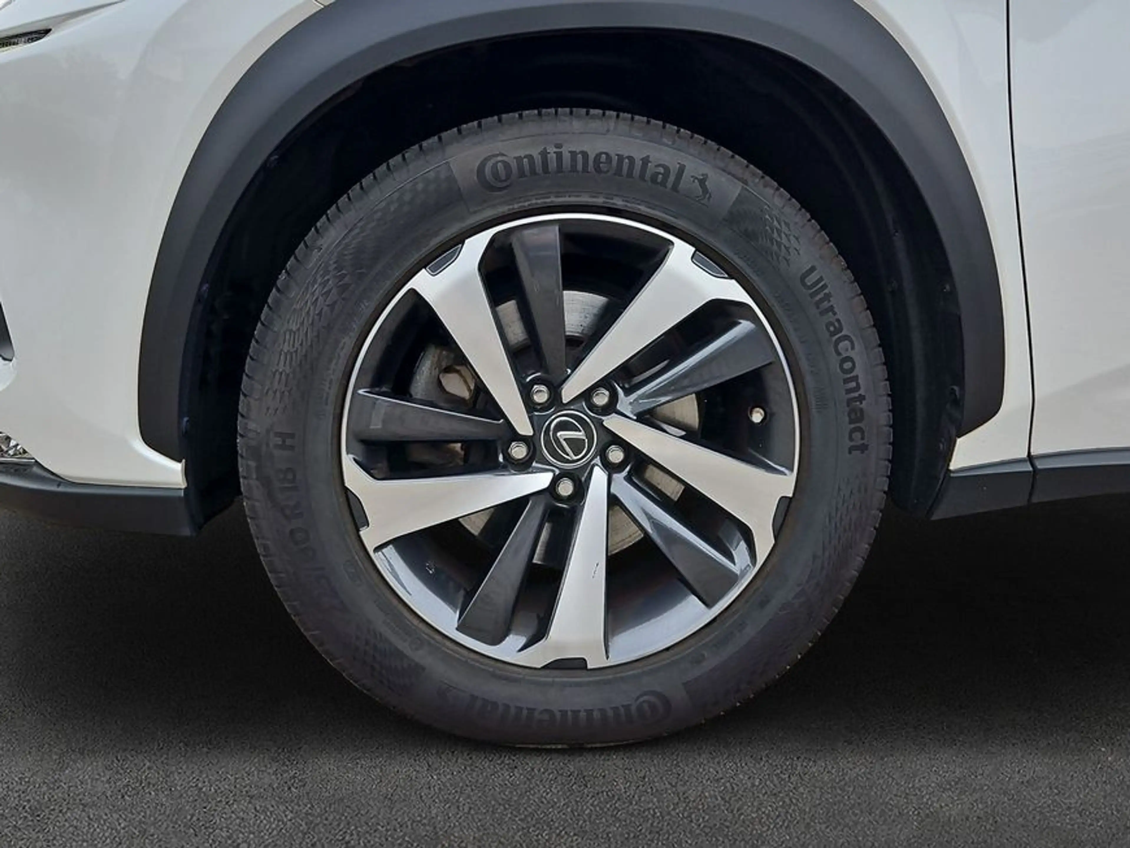 Lexus NX 300h h E-FOUR Luxury Line — photo 7