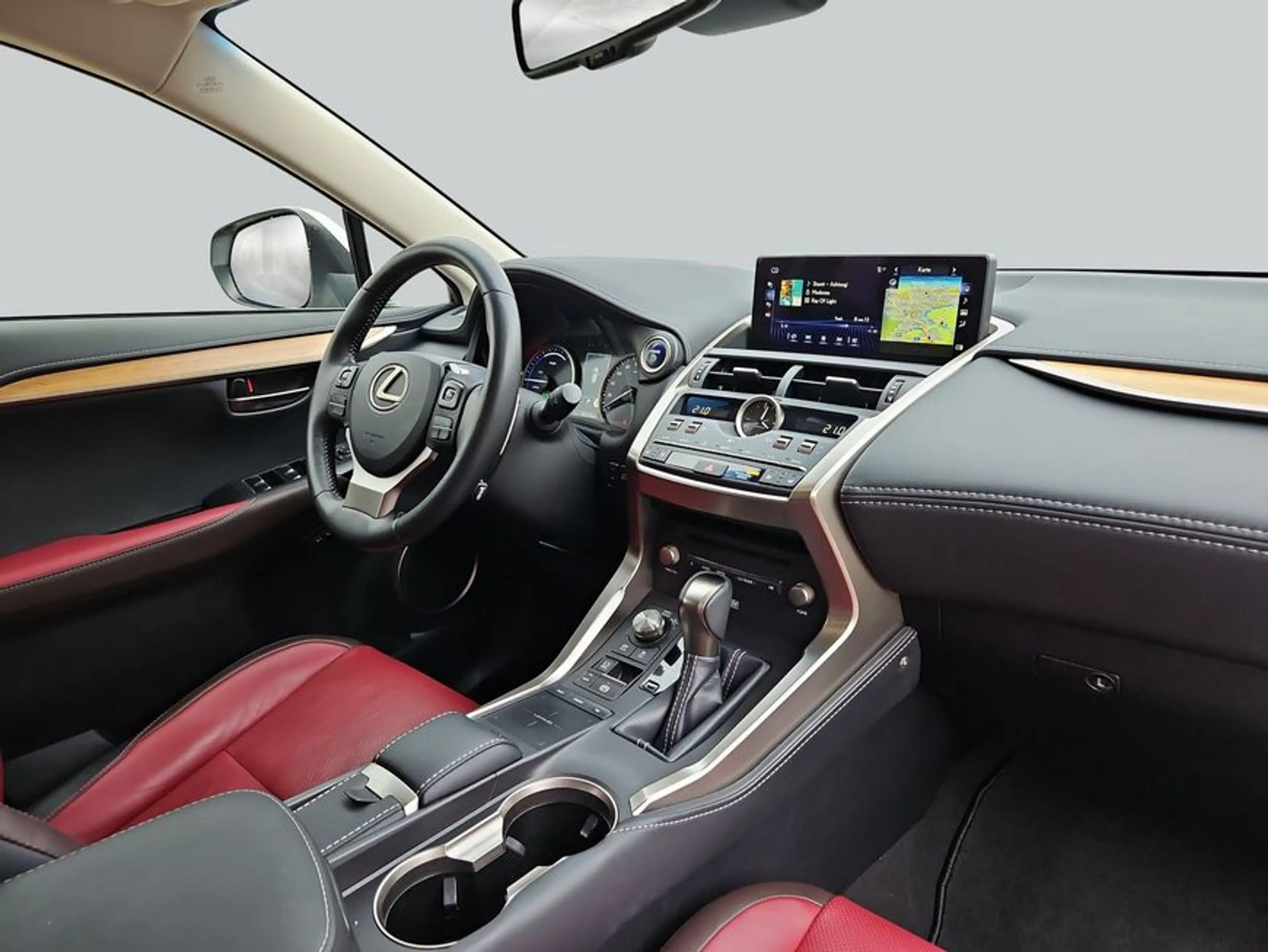Lexus NX 300h h E-FOUR Luxury Line — photo 15