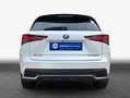 Lexus NX 300h h E-FOUR Luxury Line Weiß - thumbnail 5