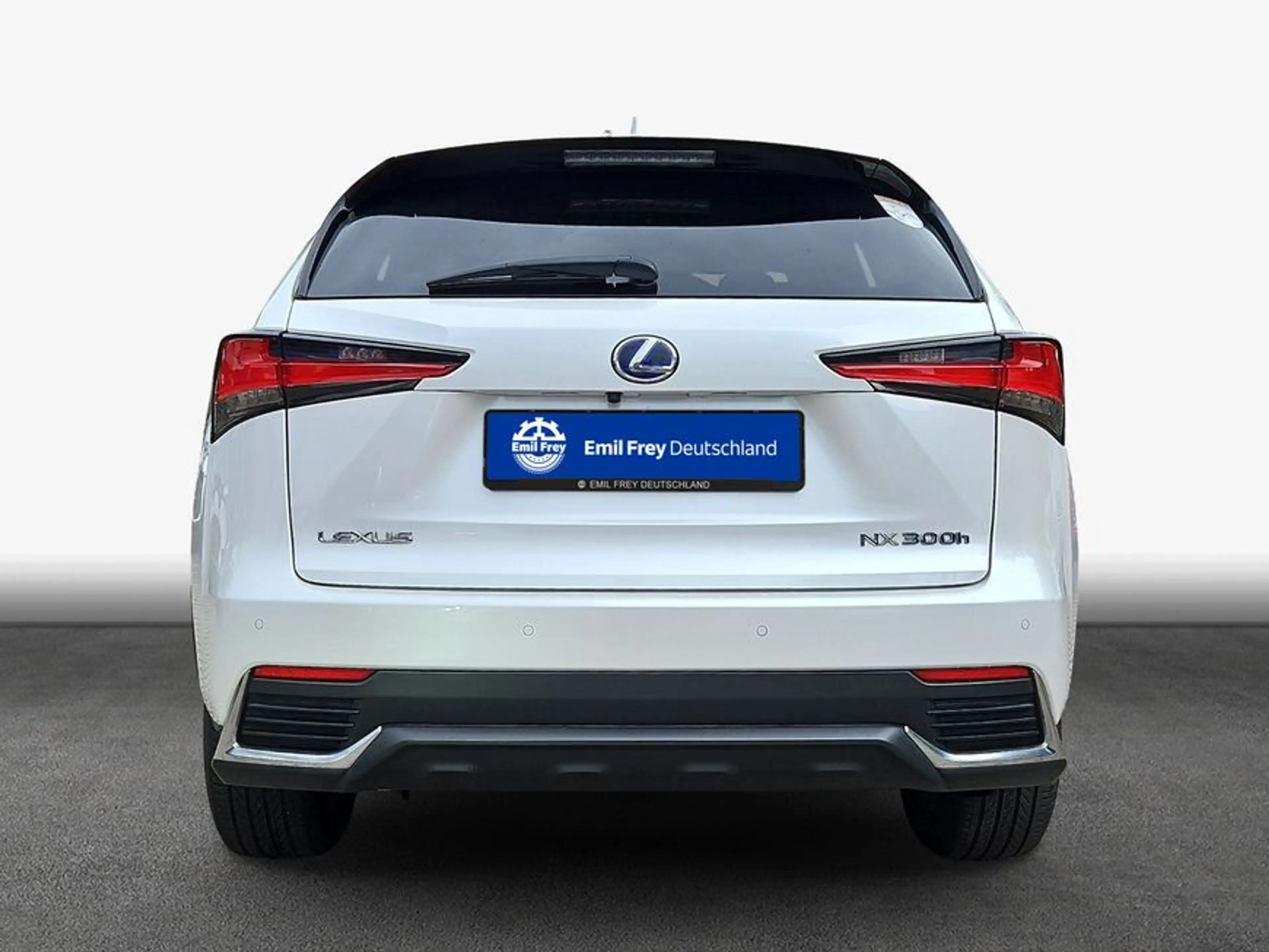 Lexus NX 300h h E-FOUR Luxury Line — photo 5