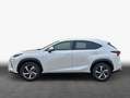 Lexus NX 300h h E-FOUR Luxury Line Weiß - thumbnail 4