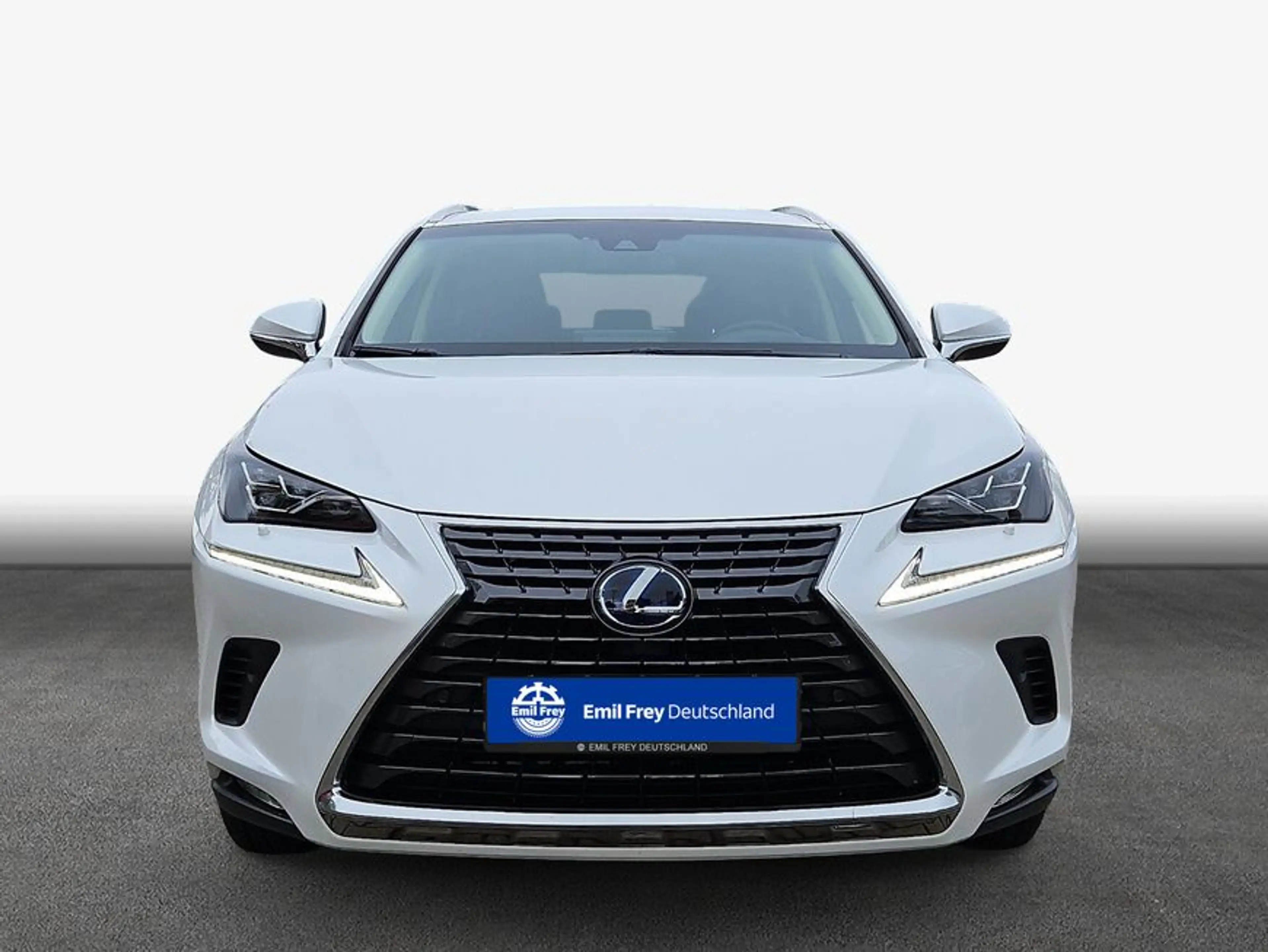 Lexus NX 300h h E-FOUR Luxury Line — photo 3