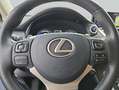 Lexus NX 300h h E-FOUR Luxury Line Weiß - thumbnail 16