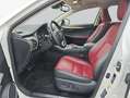 Lexus NX 300h h E-FOUR Luxury Line Weiß - thumbnail 9