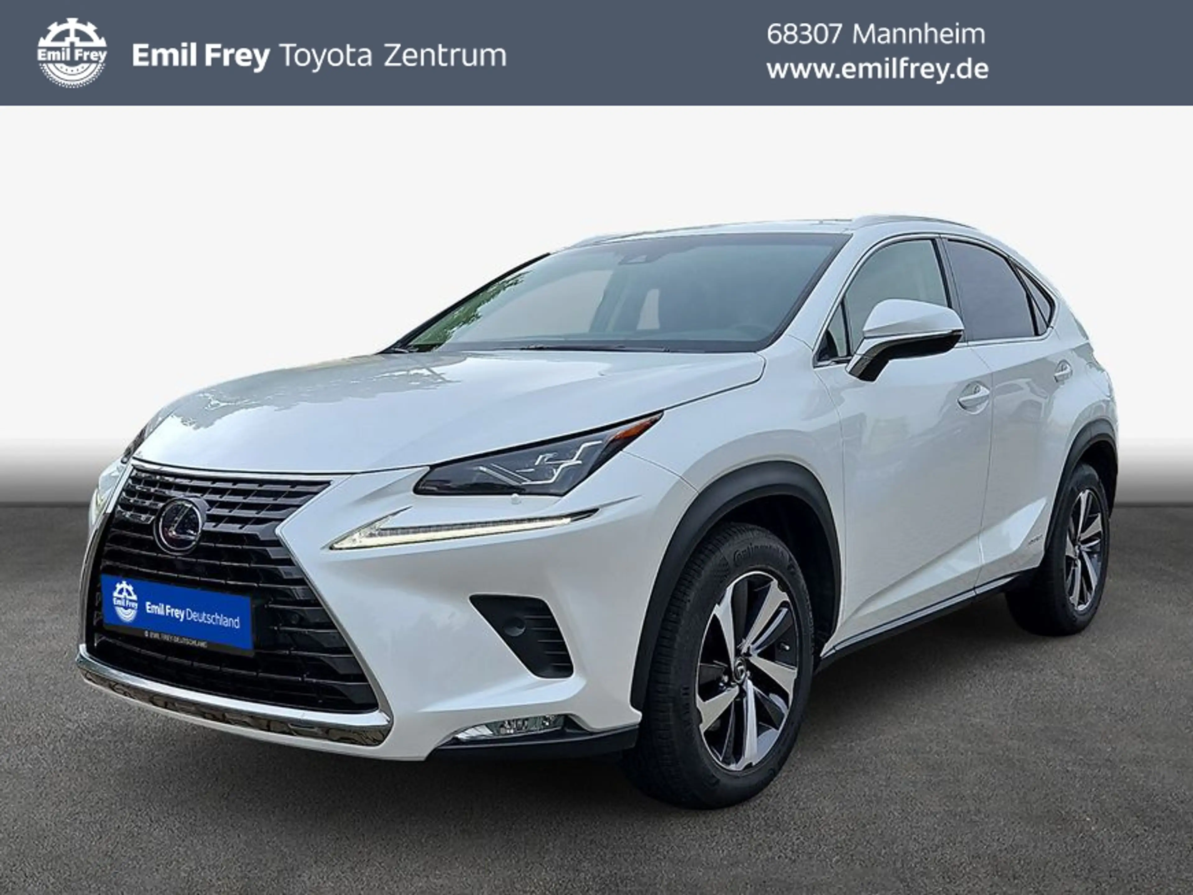 Lexus NX 300h h E-FOUR Luxury Line