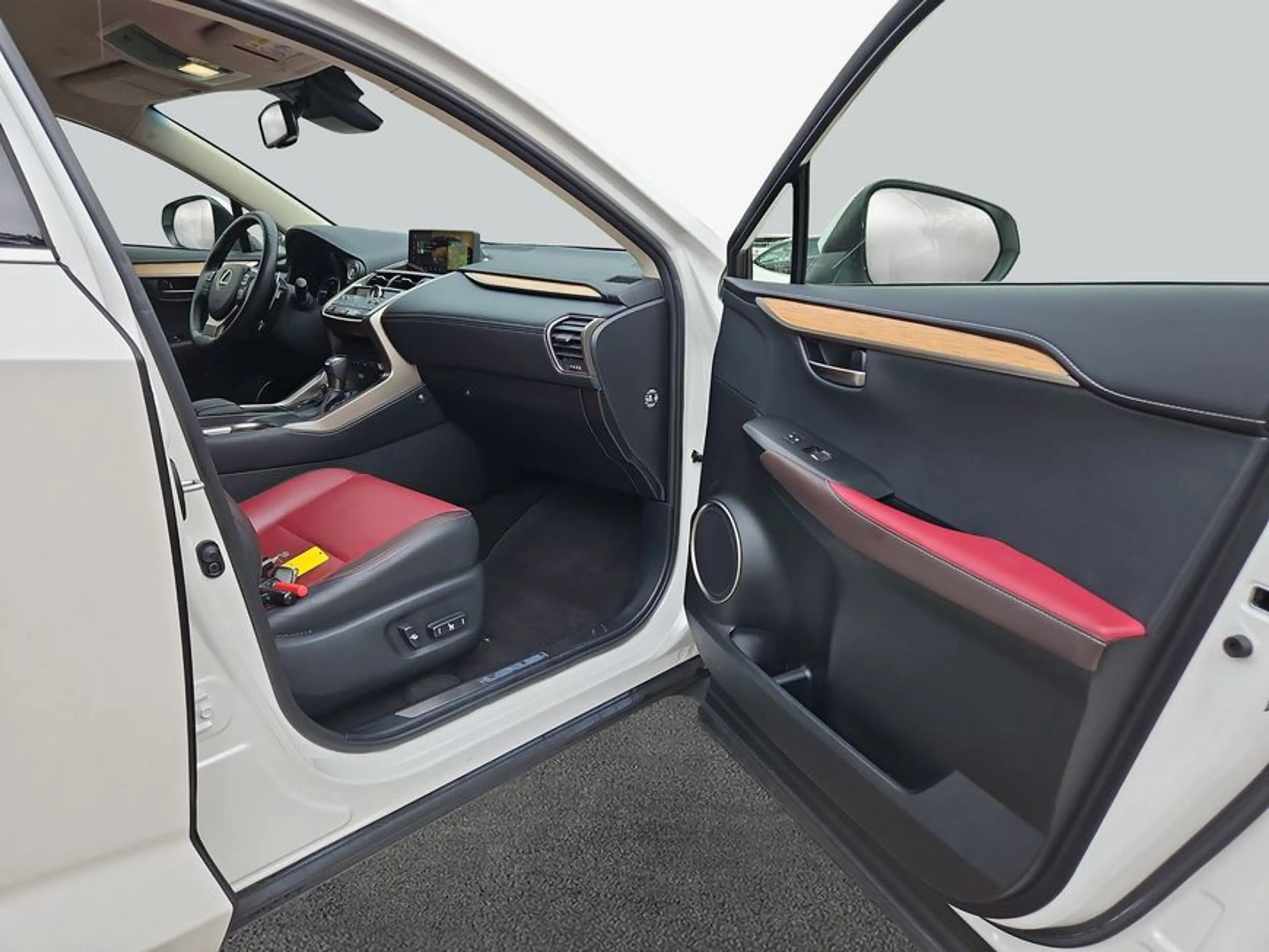 Lexus NX 300h h E-FOUR Luxury Line — photo 12