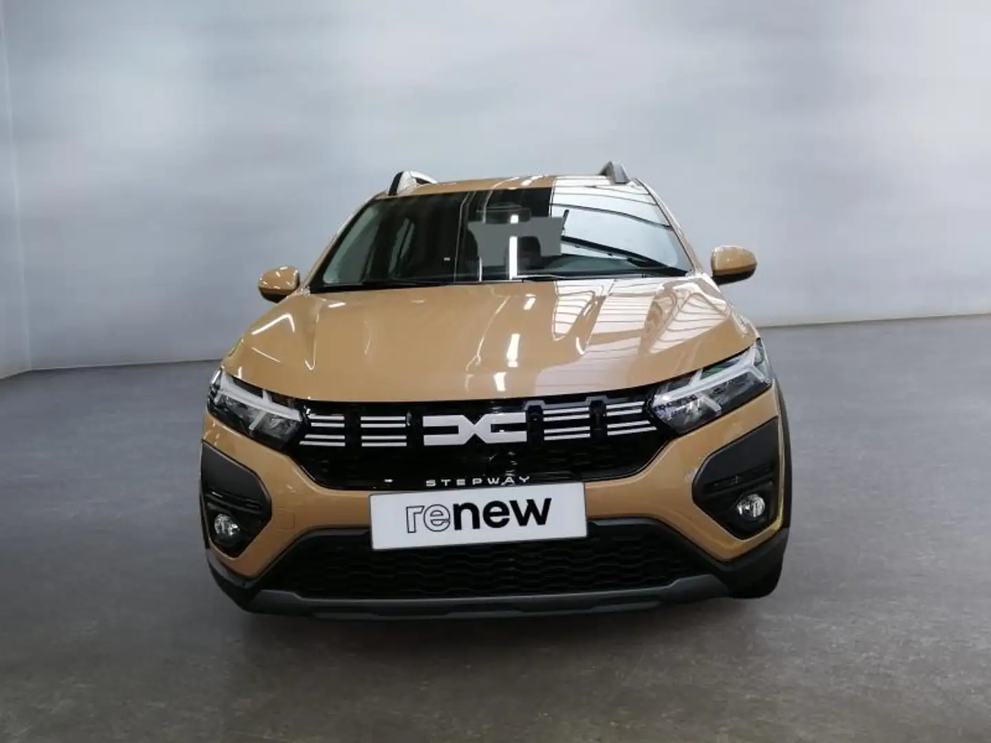 Dacia Sandero 1.0 TCe Stepway Expression 90 Hp Beige - 2