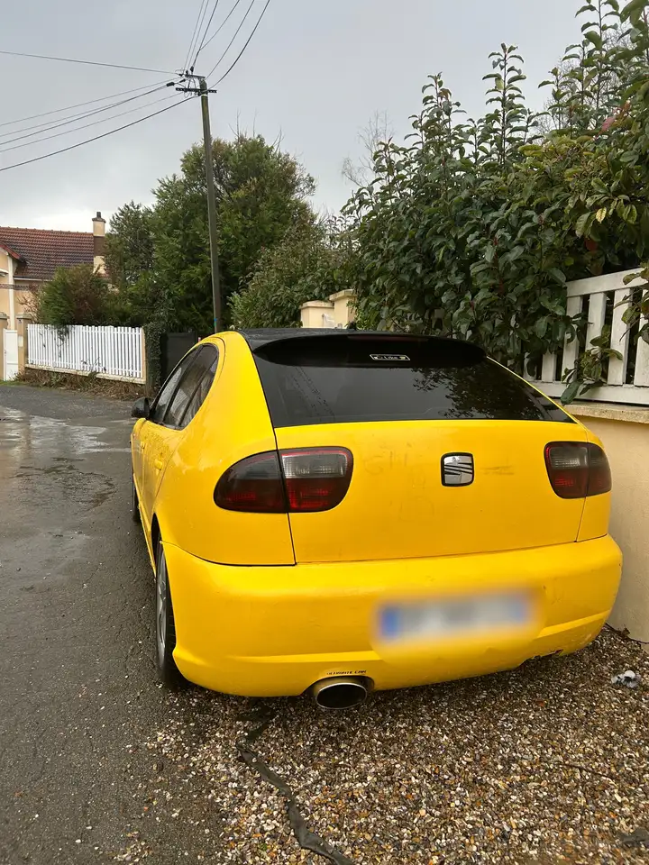 Seat Leon 1.9 TDI 150 Top Sport