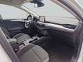 Ford Focus Turnier 1.0 EcoBoost Aut C&C *AHK/LED* Blanc - thumbnail 11