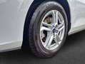 Ford Focus Turnier 1.0 EcoBoost Aut C&C *AHK/LED* Blanc - thumbnail 5