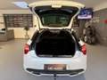 Citroen DS5 BlueHDi Automatik *RFK*AHK*NAVI*SHZ Weiß - thumbnail 35