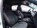 Ford Kuga ST-Line 2.0 EcoBlue 120CV Auto Blanco - thumbnail 26