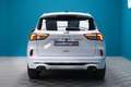 Ford Kuga ST-Line 2.0 EcoBlue 120CV Auto Blanco - thumbnail 13