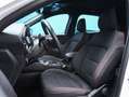 Ford Kuga ST-Line 2.0 EcoBlue 120CV Auto Blanco - thumbnail 18