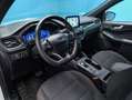 Ford Kuga ST-Line 2.0 EcoBlue 120CV Auto Blanco - thumbnail 21