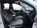 Ford Kuga ST-Line 2.0 EcoBlue 120CV Auto Blanco - thumbnail 25