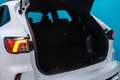 Ford Kuga ST-Line 2.0 EcoBlue 120CV Auto Blanco - thumbnail 16