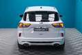 Ford Kuga ST-Line 2.0 EcoBlue 120CV Auto Blanco - thumbnail 14
