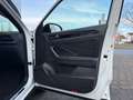 Volkswagen T-Roc T-ROC R-Line 1.5 TSI DSG IQ.Drive Pano CarPlay L Weiß - thumbnail 15