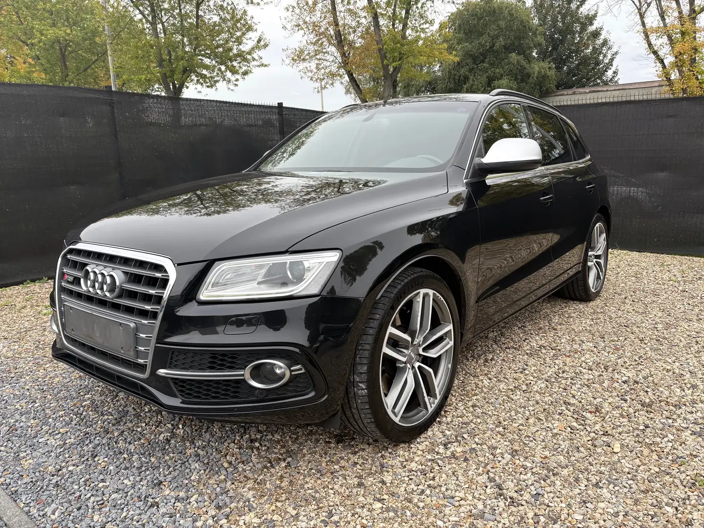 Audi SQ5 SQ5 3.0 TDi V6 Quattro SQ5 Tiptronic - 2