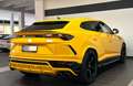 Lamborghini Urus 4.0 V8 | Giallo - Deutsch! Sárga - thumbnail 4