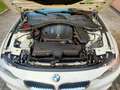BMW 318 Serie 3 F31 2012 Touring 318d Touring Luxury Bianco - thumbnail 11