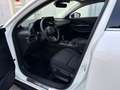 Mazda CX-30 2.0 SKYACTIV-G M Hybrid Prime-Line (EURO Weiß - thumbnail 12