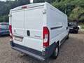 Citroen Jumper 33 L2H1 Prof BlueHDi 130 Zahnriemen 08-23 erneuert Weiß - thumbnail 6