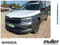 Skoda Kamiq Tour AHZV Kamera SmartLink SHZ PDC Grau - thumbnail 1