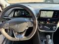 Hyundai IONIQ Ioniq 1.6 hybrid Prime 6dct - TAGLIANDI HYUNDAI Grau - thumbnail 12