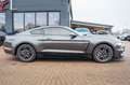 Ford Mustang 2,3 GT 350 SHELBY PREMIUM Grau - thumbnail 12