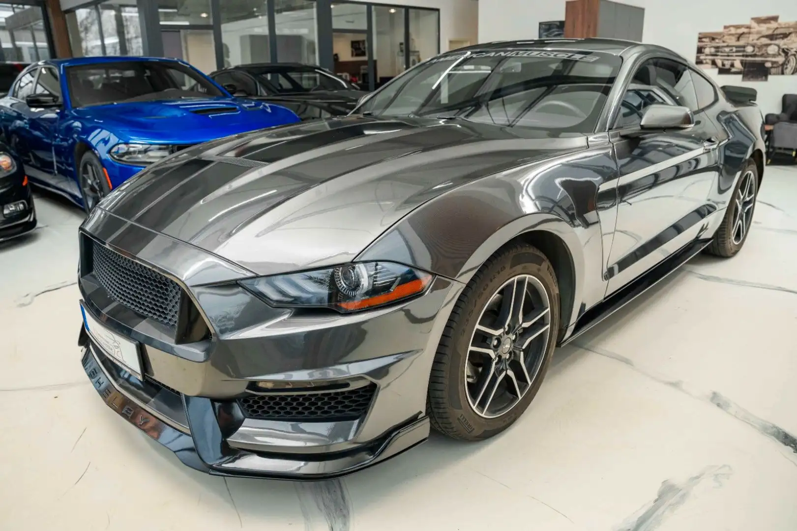 Ford Mustang 2,3 GT 350 SHELBY PREMIUM Grau - 1