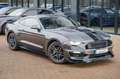 Ford Mustang 2,3 GT 350 SHELBY PREMIUM Grau - thumbnail 8