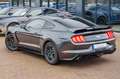 Ford Mustang 2,3 GT 350 SHELBY PREMIUM Grau - thumbnail 14