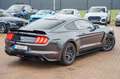 Ford Mustang 2,3 GT 350 SHELBY PREMIUM Grau - thumbnail 13