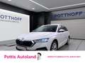 Skoda Octavia Combi 2.0 TDI DSG STYLE PANO AHK NAVI PDC Weiß - thumbnail 1