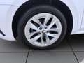 Skoda Octavia Combi 2.0 TDI DSG STYLE PANO AHK NAVI PDC Weiß - thumbnail 8