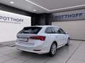 Skoda Octavia Combi 2.0 TDI DSG STYLE PANO AHK NAVI PDC Weiß - thumbnail 5