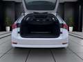Skoda Octavia Combi 2.0 TDI DSG STYLE PANO AHK NAVI PDC Weiß - thumbnail 4