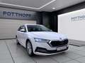 Skoda Octavia Combi 2.0 TDI DSG STYLE PANO AHK NAVI PDC Weiß - thumbnail 6
