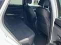 Hyundai TUCSON 1.6 TGDI 150cv 48V N-Line Blanco - thumbnail 16