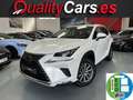 Lexus NX 300 300h Business Navigation 2WD Blanco - thumbnail 1