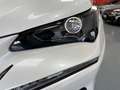 Lexus NX 300 300h Business Navigation 2WD Blanco - thumbnail 11