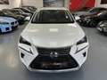 Lexus NX 300 300h Business Navigation 2WD Blanco - thumbnail 3
