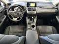 Lexus NX 300 300h Business Navigation 2WD Blanco - thumbnail 20